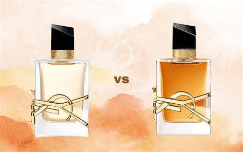 differenza tra yves saint laurent e valentino|valentino vs ysl libre.